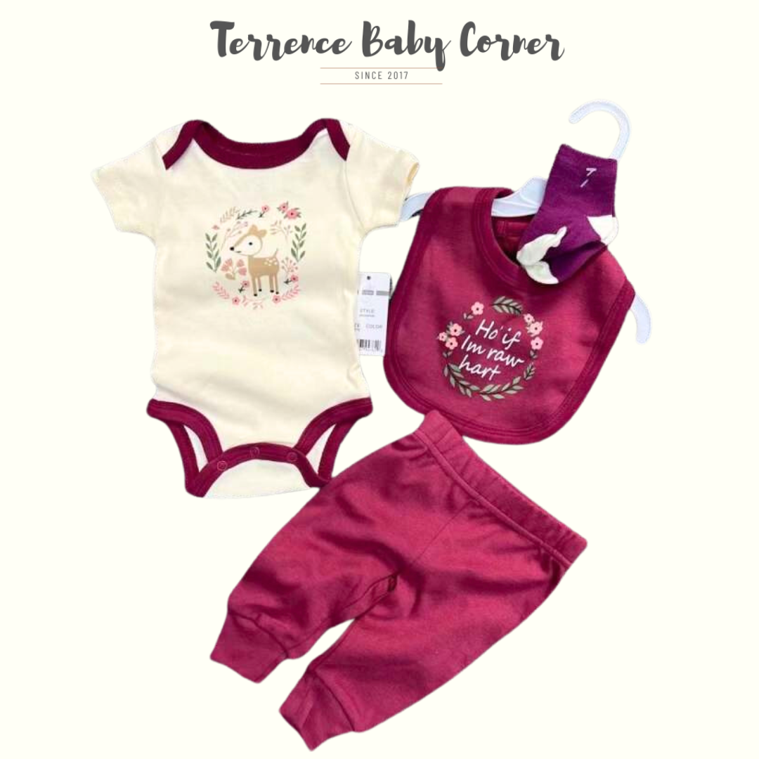 4-piece Infant Girl Value Clothes Set